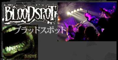 Bloodspot（ブラッドスポット）