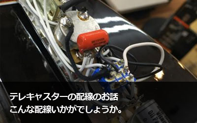 �e���L���X�^�[�̔z���̂��b ����Ȕz���������ł��傤���B