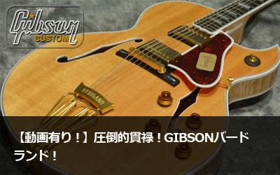 yLIz|Iј\IGIBSONo[hhI