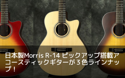 日本製Morris R-14 ピックアップ搭載アコースティックギターが３色ラインナップ！