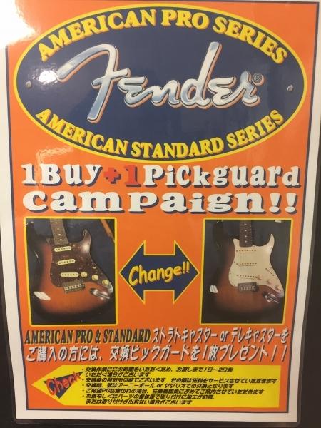 新品FENDER USA American Standard & Pro シリーズ対象、ピックガード