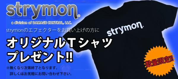 strymonエフェクターお買い上げでＴシャツプレゼント！