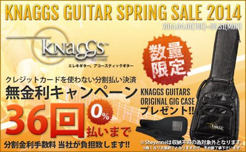 Knaggs Guitar Spring Sale 2014