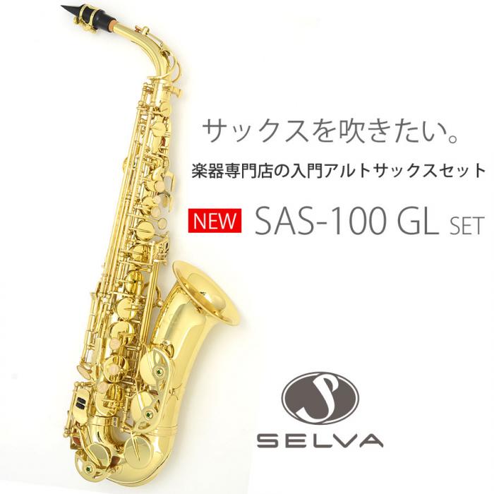 値下げ！】SELVA (セルバ) 初心者向けアルトサックス入門セット管楽器