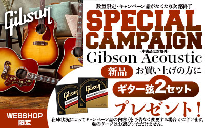 Gibson Acoustic SPECIAL CAMPAIGN