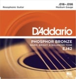 DAddario / EJ42 Phosphor Bronze Resophonic Guitar 16-56 ƥå