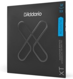 D'Addario / XT Series Acoustic Phosphor Bronze Strings XTAPB1253 Light 12-53