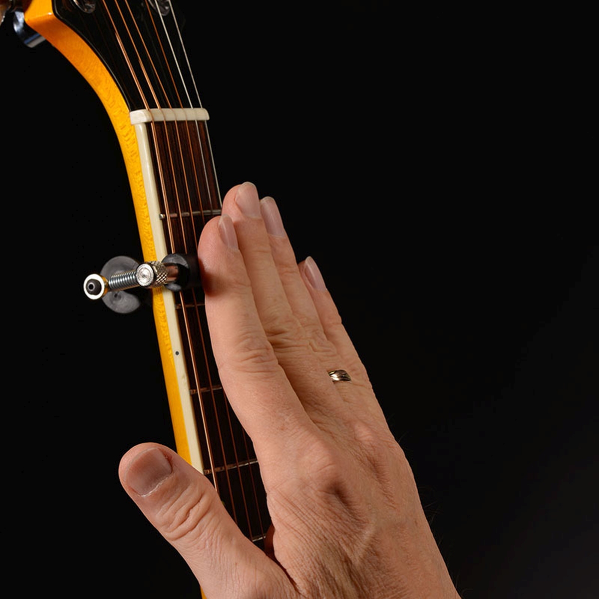 Greg Bennett / Glider The Rolling Capo (GL-1) グレッグ