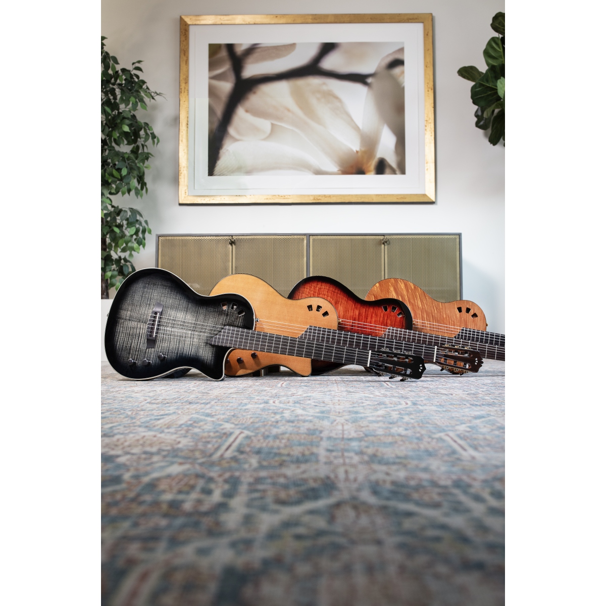Cordoba / Stage Traditional Ceder エレガット [2024年新商品