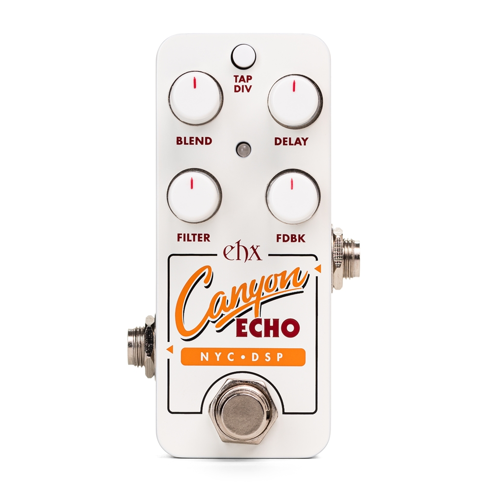 electro-harmonix / Pico Canyon Echo Digital Delay デジタル