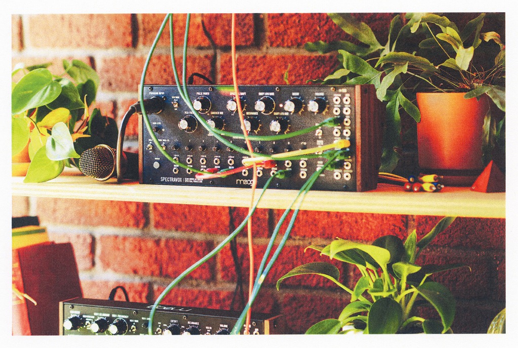 moog モーグ / Spectravox SEMI-MODULAR ANALOG SPECTRAL