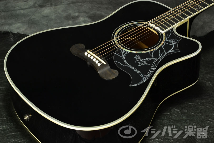 EPIPHONE エピフォン / Dave Navarro Jane Acoustic/Electric Ebony エレアコ