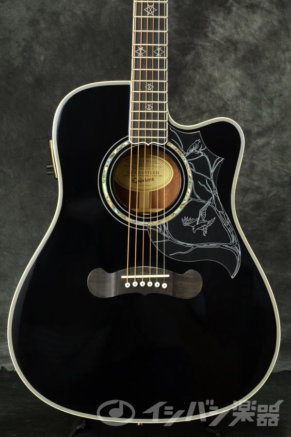 EPIPHONE エピフォン / Dave Navarro Jane Acoustic/Electric Ebony