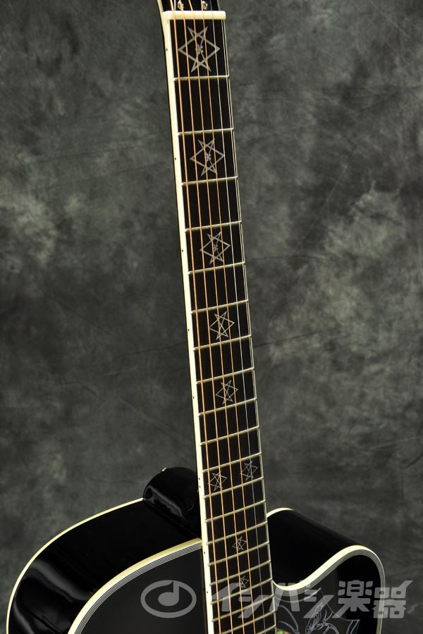 EPIPHONE エピフォン / Dave Navarro Jane Acoustic/Electric