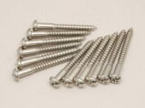 Fender / Stratocaster Tremolo Mounting Screws Nickel 001-6170-049