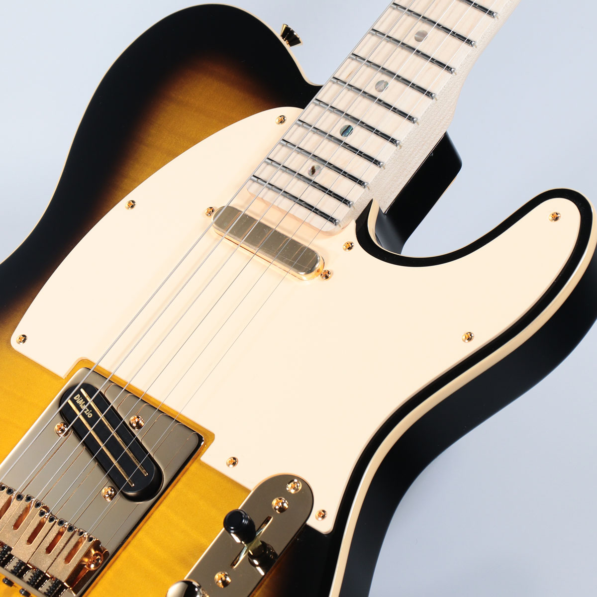 Fender / Japan Exclusive Richie Kotzen Telecaster Brown Sunburst