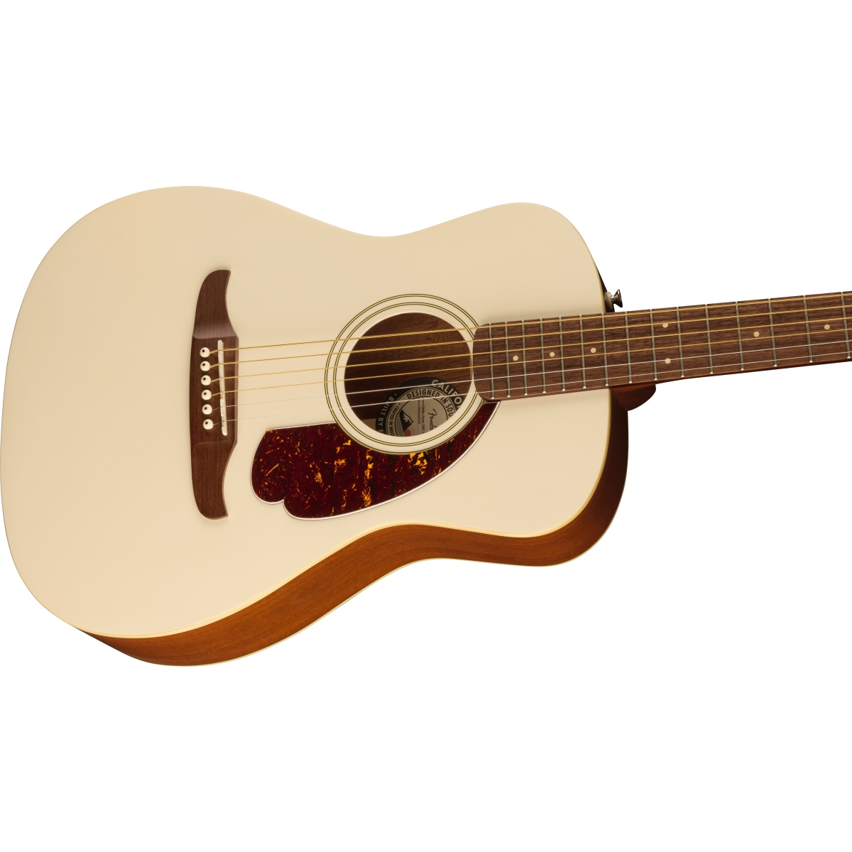 Fender / Malibu Player Walnut Fingerboard Tortoiseshell