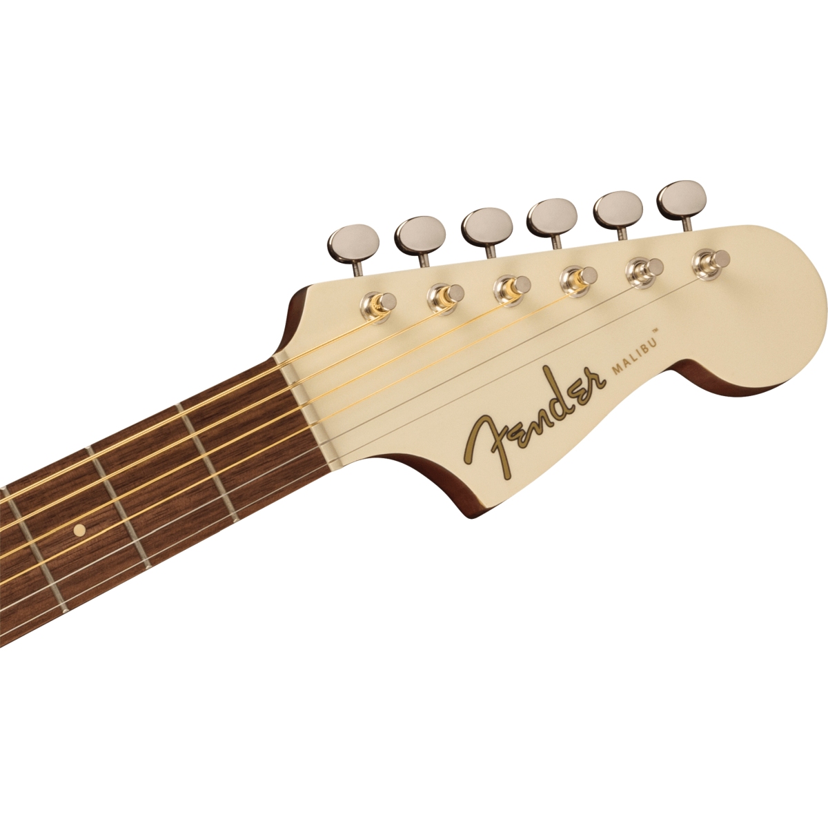 Fender / Malibu Player Walnut Fingerboard Tortoiseshell