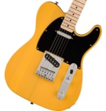 Squier by Fender / Sonic Telecaster Maple Fingerboard Black Pickguard Butterscotch Blonde 磻䡼