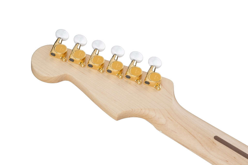 Fender / Japan Exclusive Richie Kotzen Stratocaster Transparent