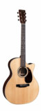 Martin / GPC-16E Rosewood (GPC-16E-01) 16꡼ ޡ ޡƥ ƥå 쥢