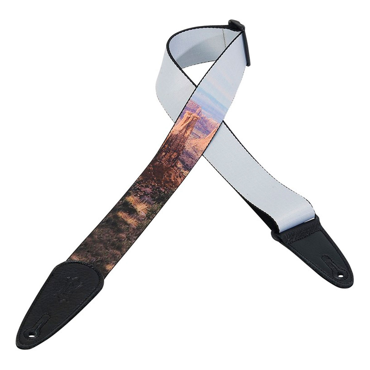 Levy's レビース / SUBLIMATION Guitar Strap MPDS2-005 ギターストラップ【お取り寄せ商品】 | イシバシ楽器