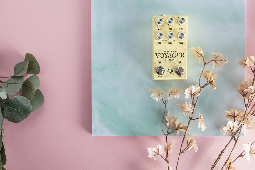 Walrus Audio VOYAGER 限定版 WALRUS AUDIO 名機VOYAGERがアップグレード！「 MKII」発売！