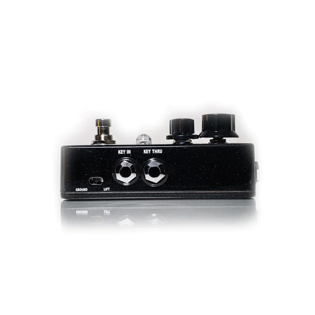 Fortin Amplification ZUUL+ 美品 ZUUL®+ – Fortin Amps