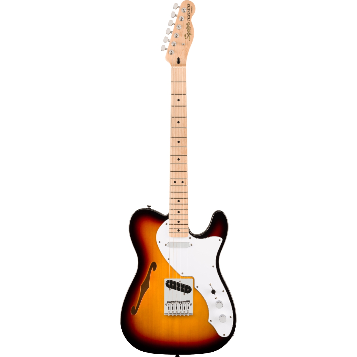 Squier by Fender / Affinity Series Telecaster Thinline Maple