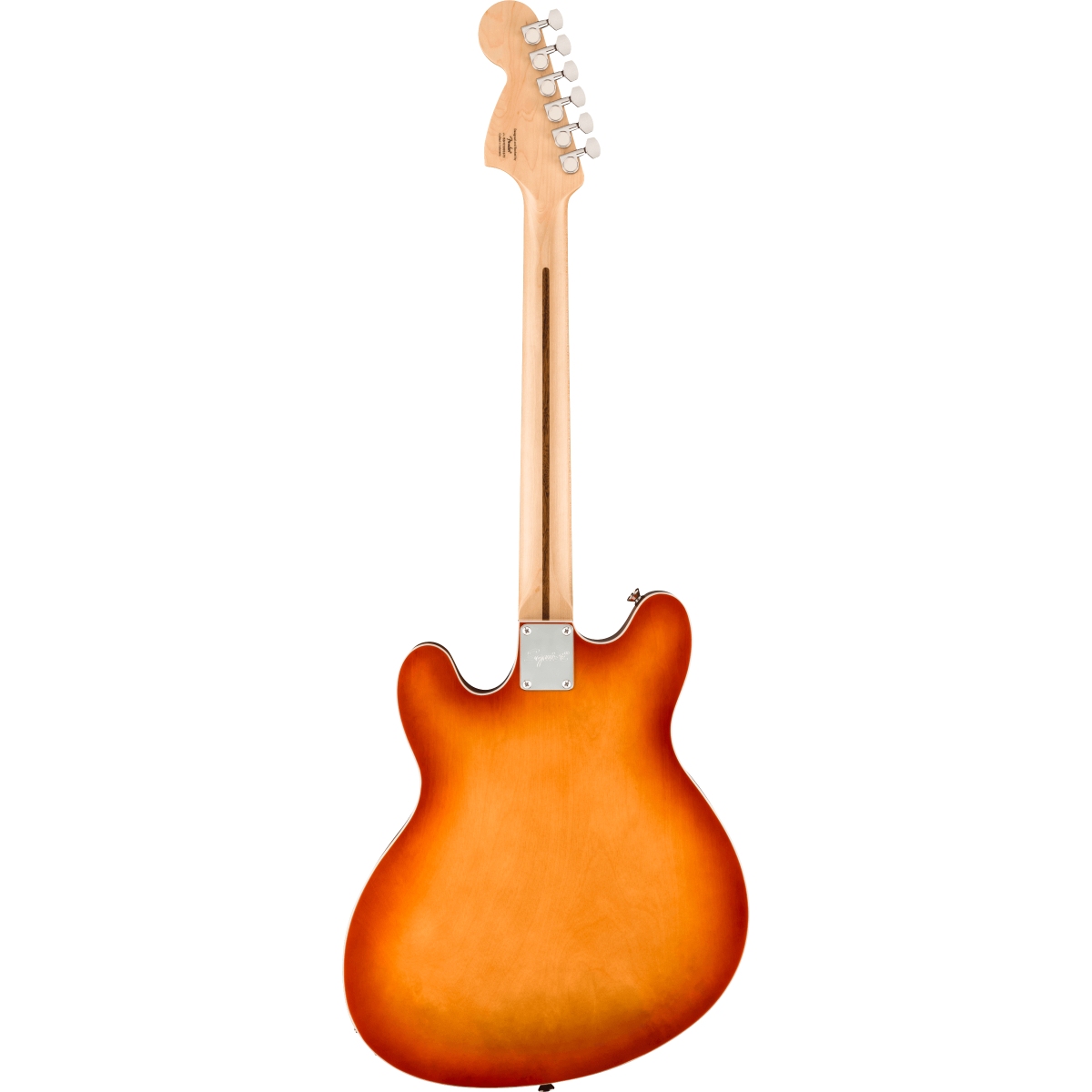 Squier    週末限定⭐︎ Amazon | Squier by Fender/Limited Edition Paranormal Esquire