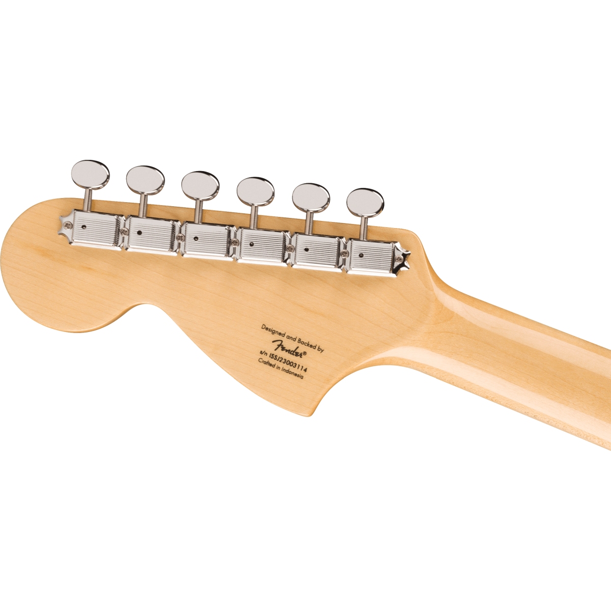 Squier by Fender / Limited Edition Paranormal Troublemaker