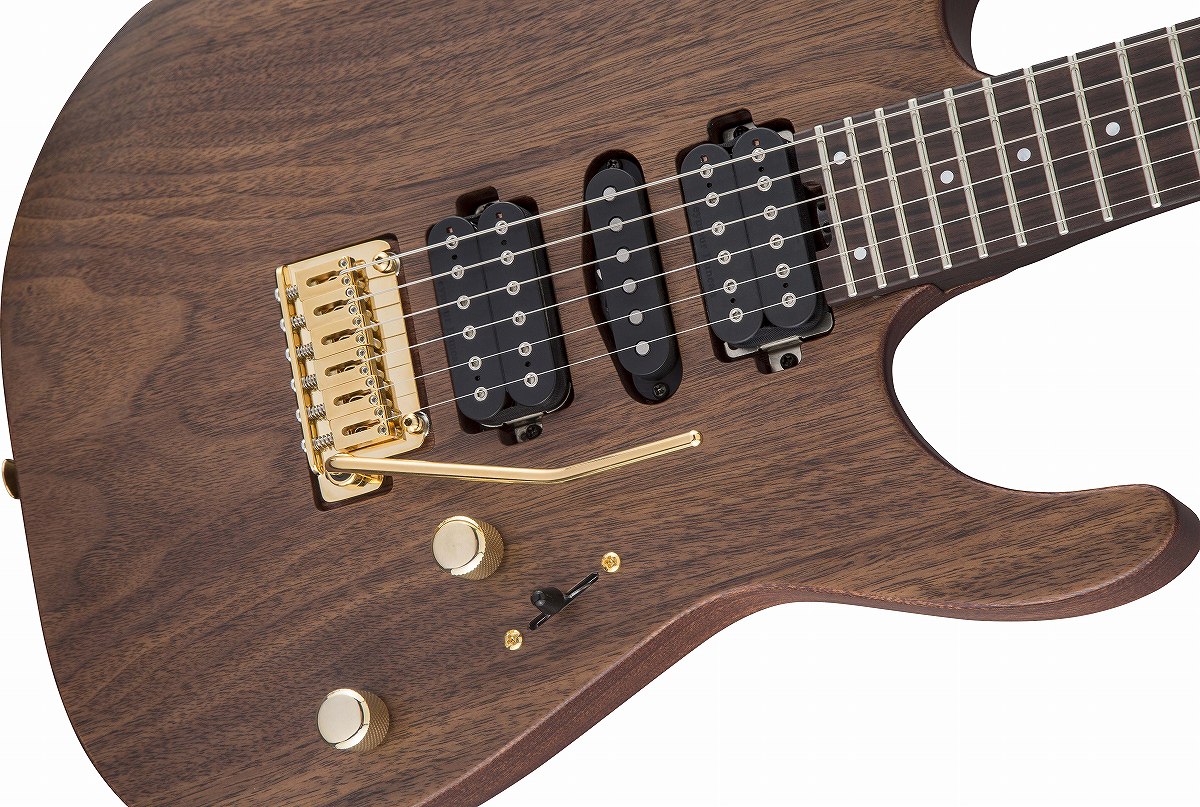 Charvel(シャーベル) Ashish Maharjan Charvel(シャーベル) Ashish Maharjan Guitars