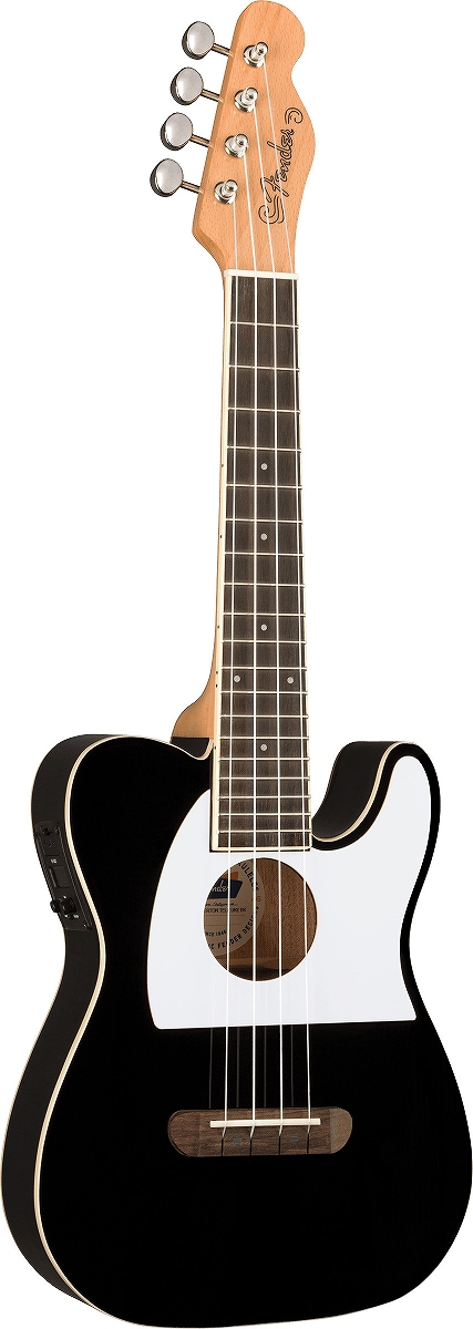 ギター好きにおすすめ!Fenderのウクレレ - ギターとスマホとSNSと