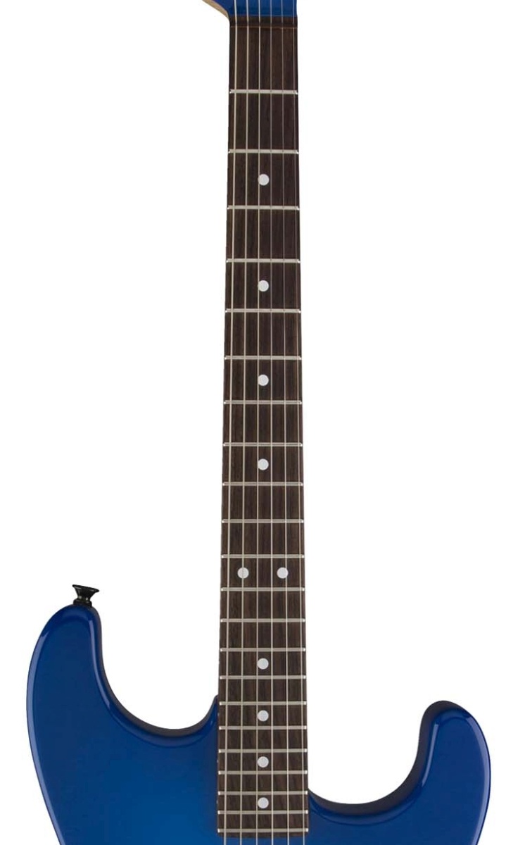 Charvel / USA Custom Shop Artist Series Jake E. Lee