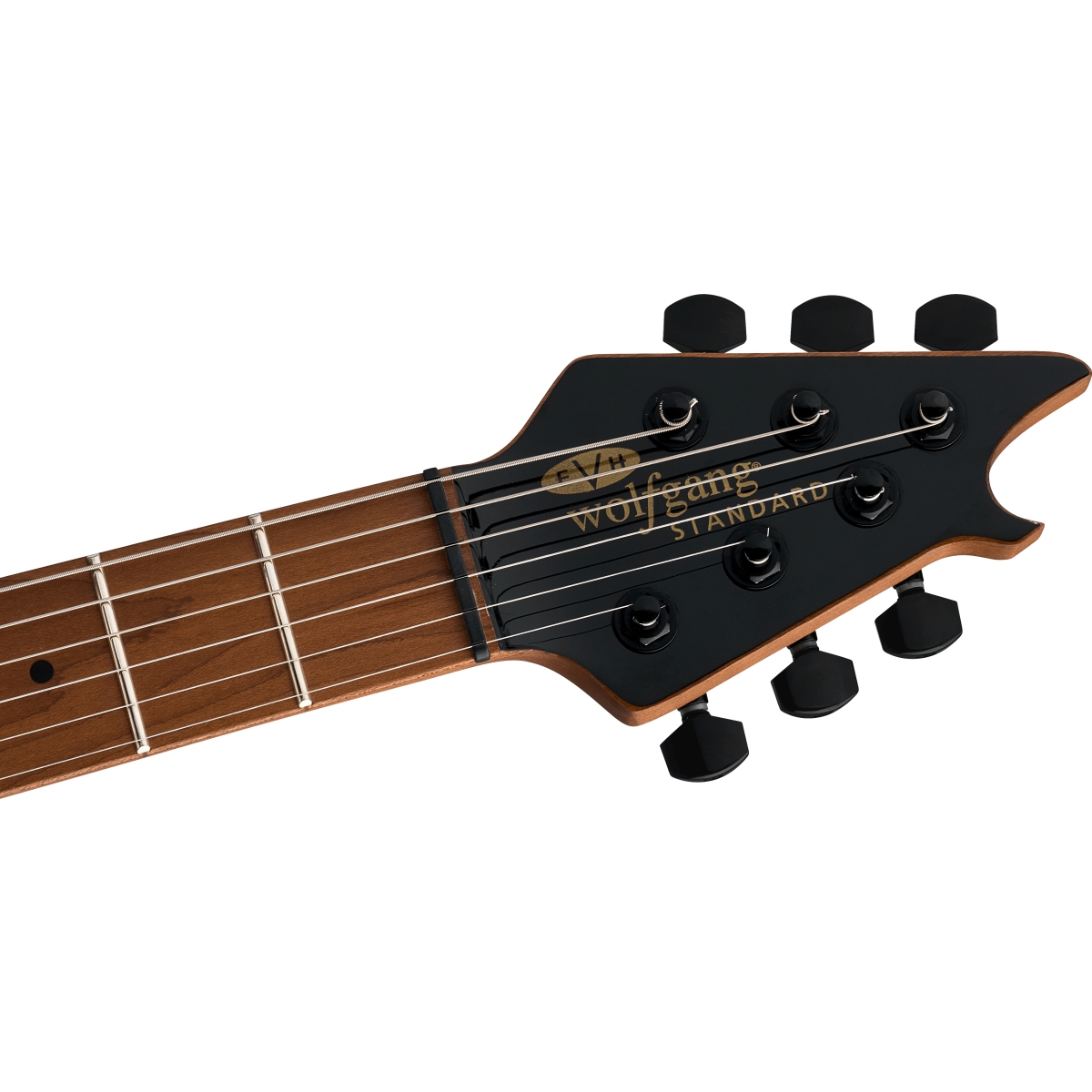 EVH Standard ブラックエレキギター Amazon | EVH エレキギター Wolfgang® WG Standard Exotic