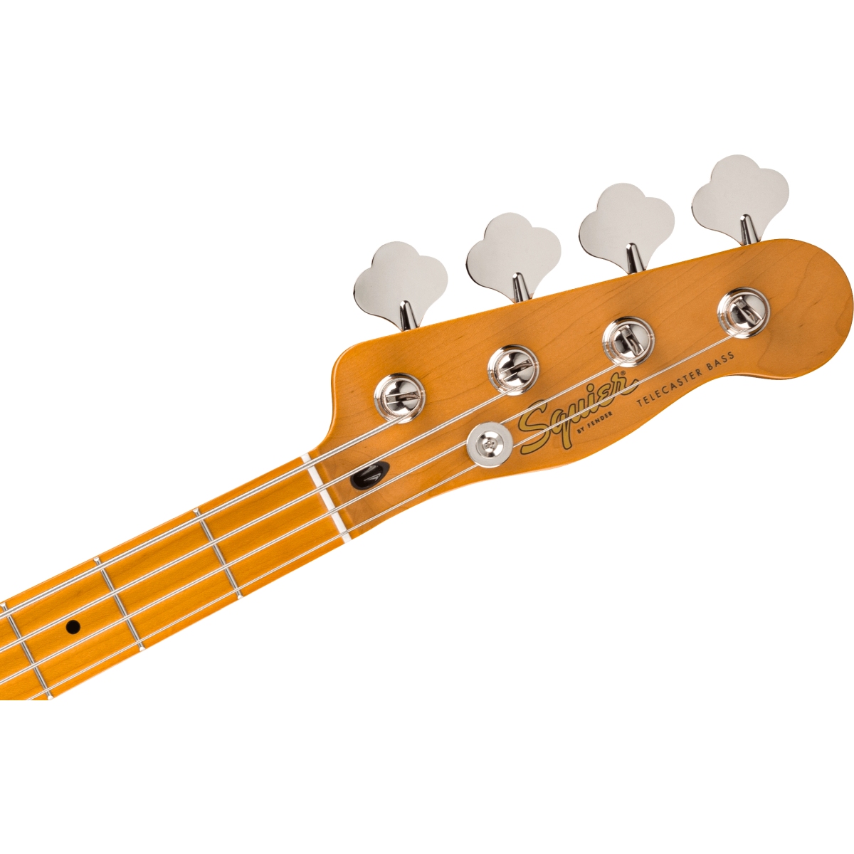 Squier by Fender / Classic Vibe Telecaster Bass Maple