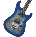 WEBSHOPꥢ󥹥EVH / 5150 Series Deluxe Poplar Burl Ebony Fingerboard Aqua Burst ֥