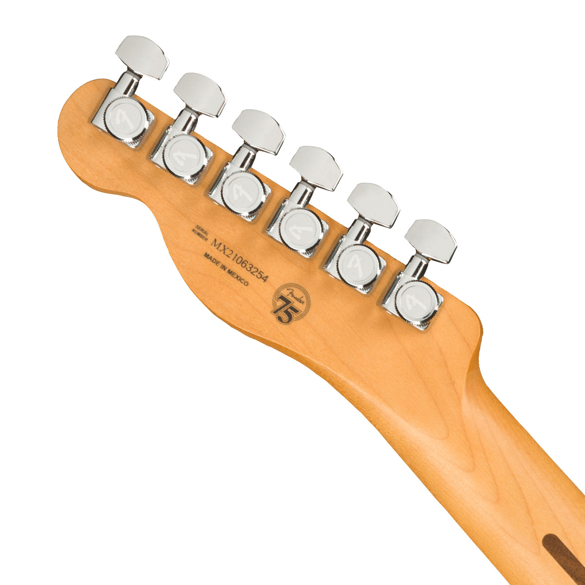 Fender / Player Plus Nashville Telecaster Pau Ferro