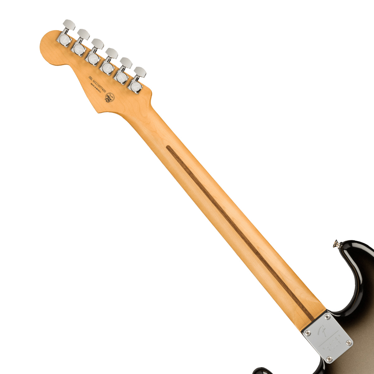 Fender / Player Plus Stratocaster HSS Pau Ferro Fingerboard