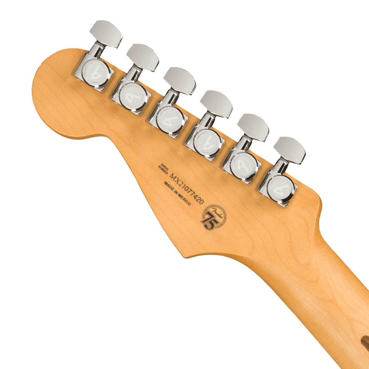JBD_Fenders_BackCU.jpg?1605283817