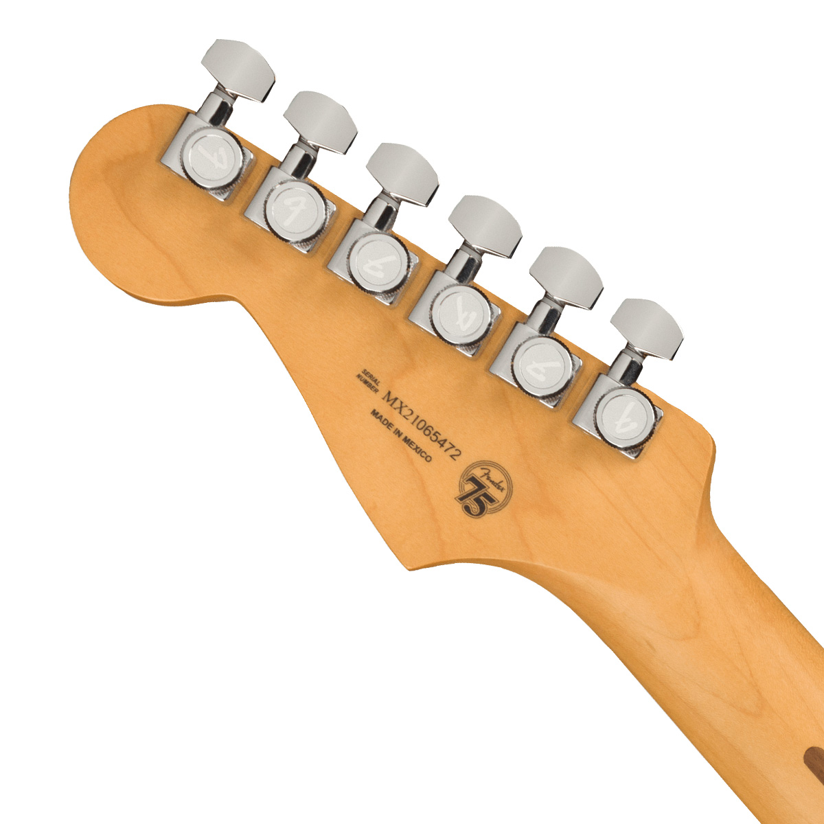 Fender / Player Plus Stratocaster Pau Ferro Fingerboard Aged