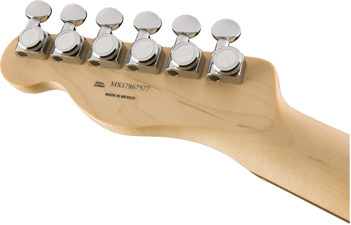 Fender / Deluxe Telecaster Thinline Pau Ferro Fingerboard 3