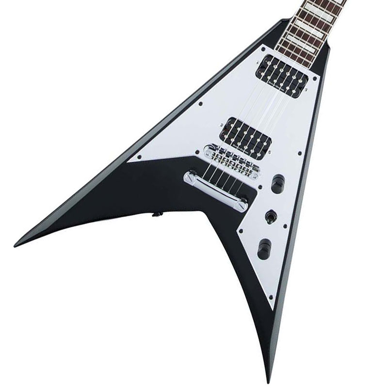 Anthrax scott Ian ギター　ピック X Series Signature Scott Ian King V™
