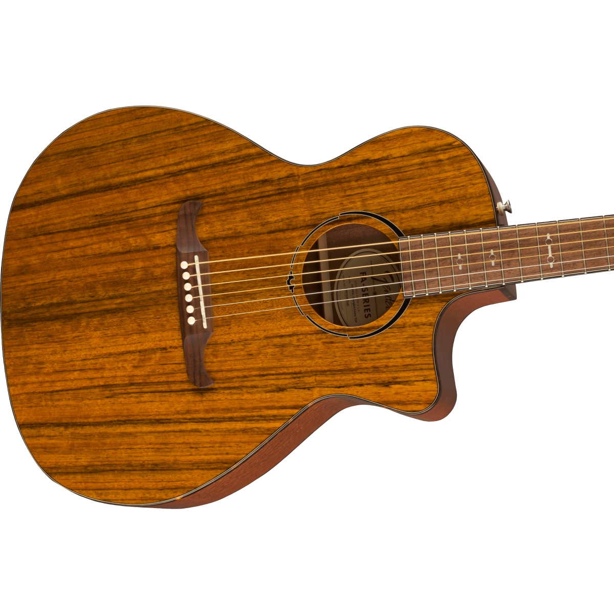 FENDERアコギ爆安特価》Fender / Limited Edition FA-345CE