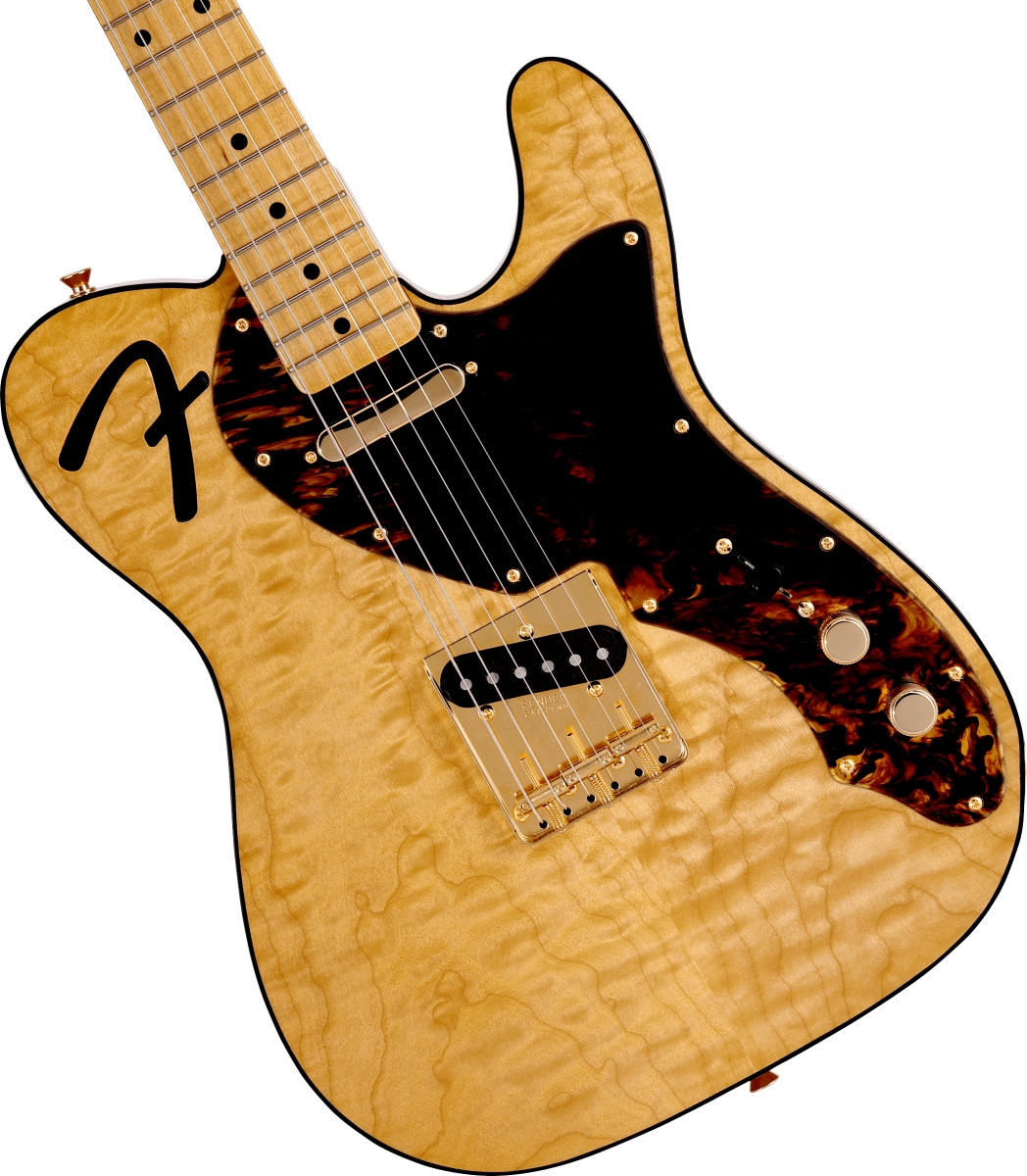Fender / Made in Japan 2021 Limited Collection F-Hole