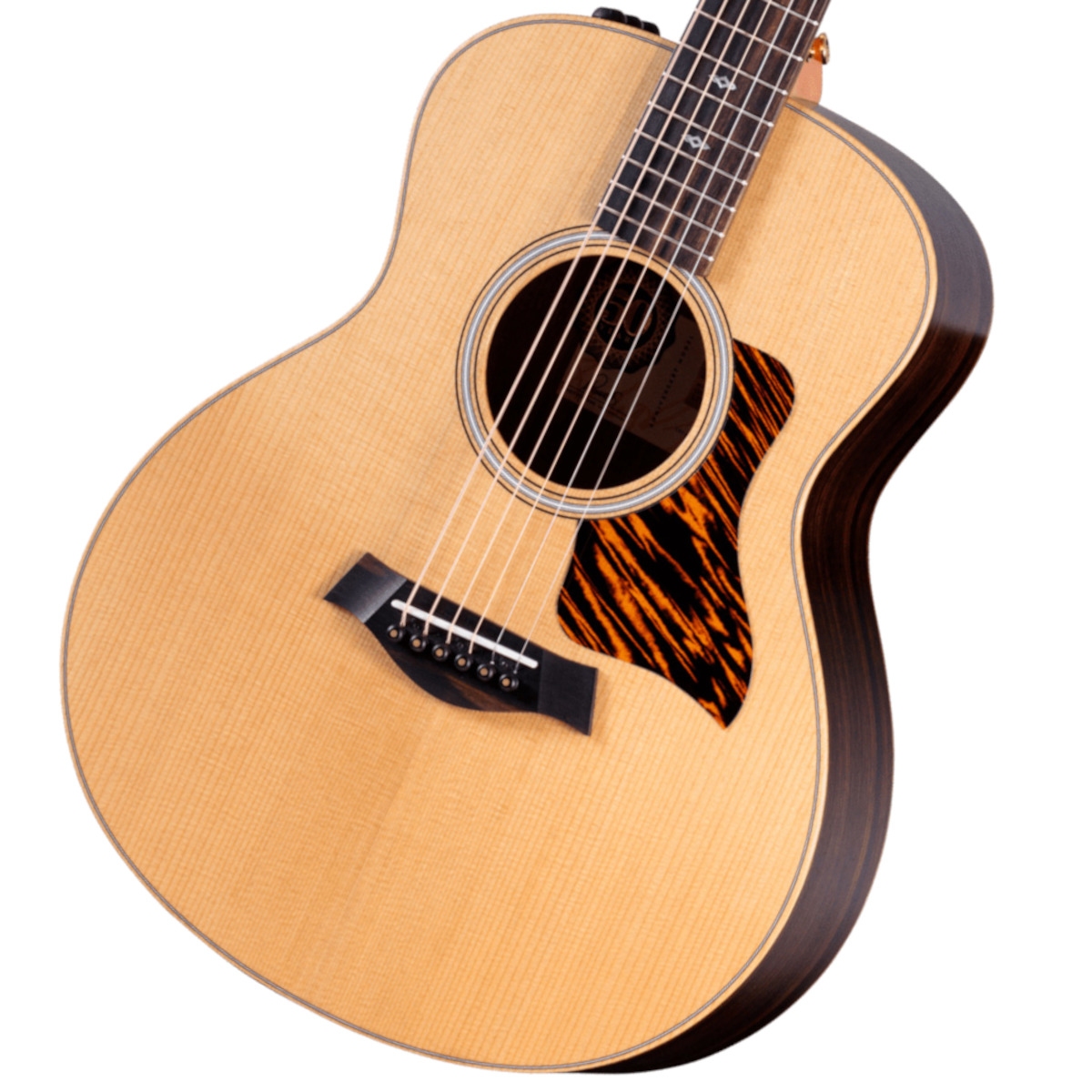 Taylor / GS Mini-e Rosewood 50th NAT[50周年限定モデル][ES2