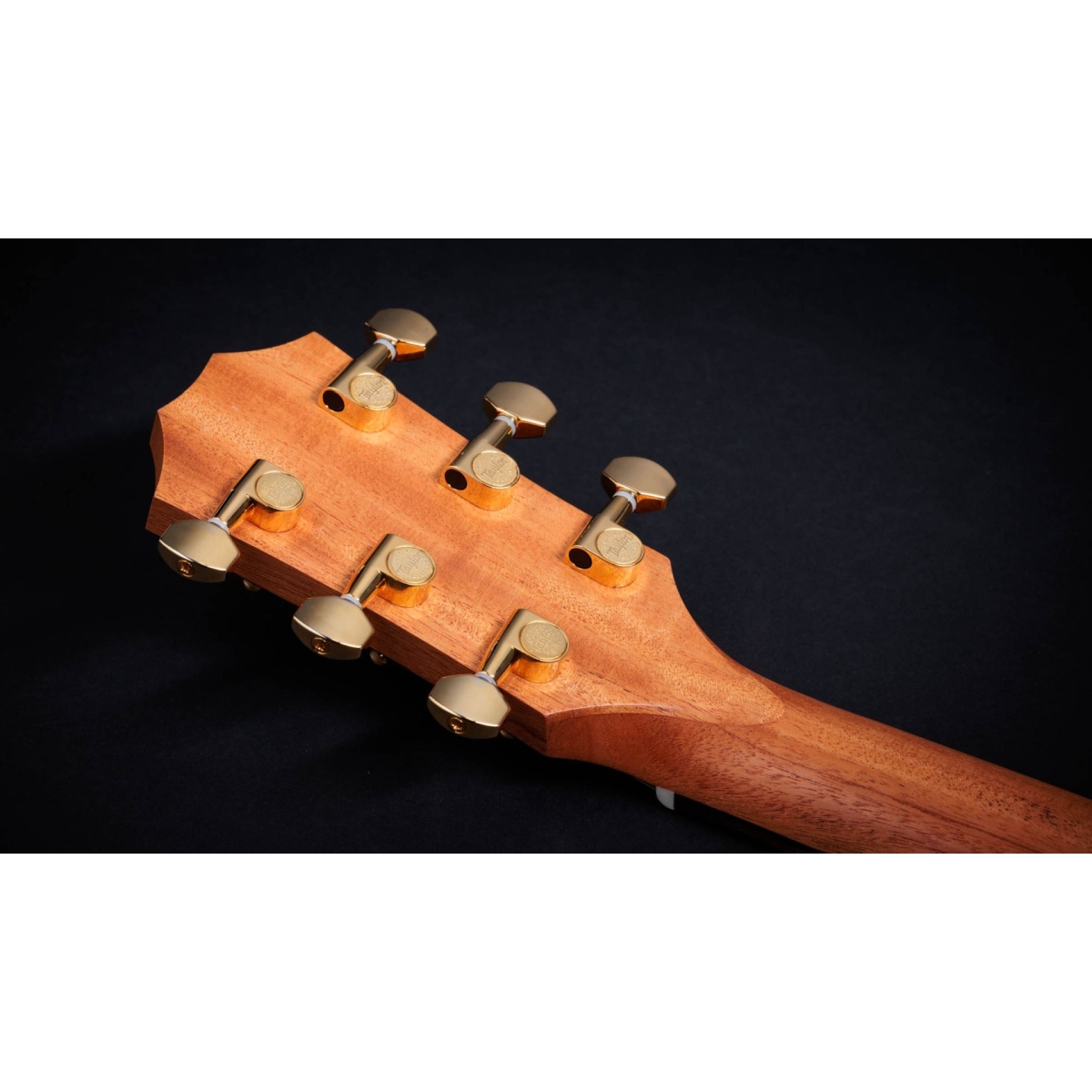Taylor / GS Mini-e Rosewood 50th NAT[50周年限定モデル][ES2