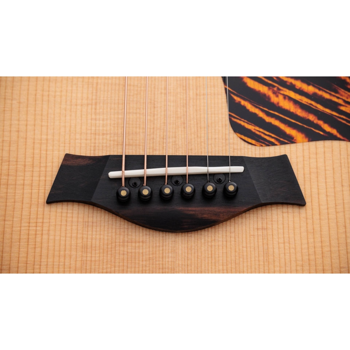 Taylor / GS Mini-e Rosewood 50th NAT[50周年限定モデル][ES2
