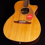 Fender / Newporter Player Walnut Fingerboard Gold Pickguard Natural S/N:IWA2311953 ڿضŹ