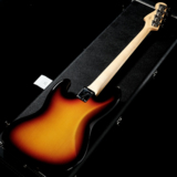 John Zeidler-Jazz Deluxe Special - The Blue Guitars - アート